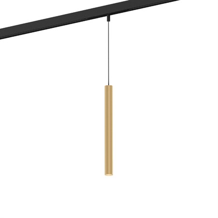 Wever & Ducré+MATCH on STREX 3.0 LED 7W 490lm 2700K CRI>90 33°, hämardatav DALI, siinivalgusti, harjatud šampanja