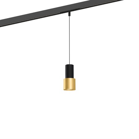 Wever & Ducré+ODREY on STREX 1.1 LED 7W 400lm 2700K CRI>90 32°, hämardatav DALI, siinivalgusti, matt must/kuldne
