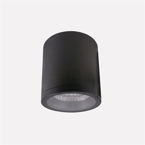 Nexia+Cala Ø150mm LED 38W 3379lm 3000K 40°, IP65, laevalgusti, antratsiit