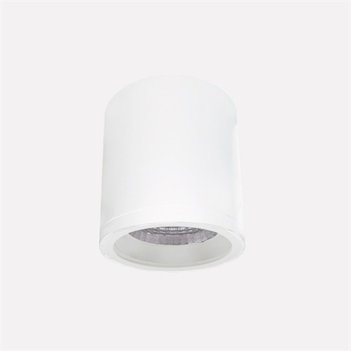 Nexia+Cala Ø150mm LED 38W 3379lm 3000K 40°, IP65, laevalgusti, valge