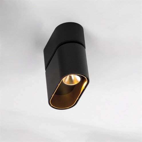 Modular+Duell Surface Adjustable 1x LED 10W 743lm 2700K CRI>90 35°, hämardatav Push/1-10V, laevalgusti, must/kuldne