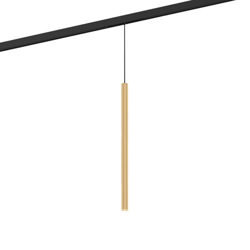 Wever & Ducré+MATCH on STREX 5.0 LED 7W 490lm 2700K CRI>90 54°, hämardatav DALI, siinivalgusti, šampanja, kaabel 600mm