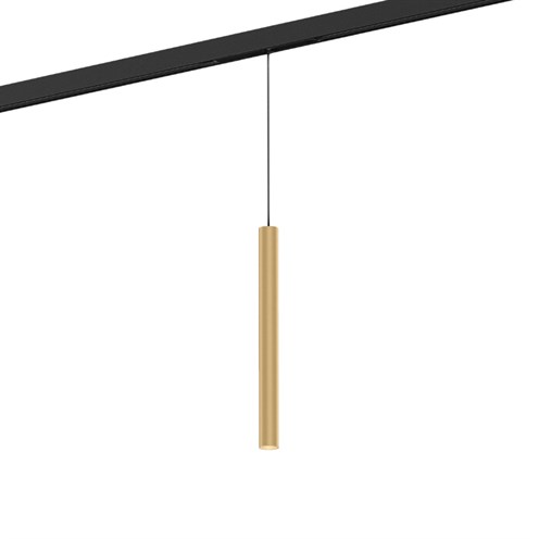 Wever & Ducré+MATCH on STREX 3.0 LED 7W 490lm 2700K CRI>90 54°, hämardatav DALI, siinivalgusti, šampanja, kaabel 600mm