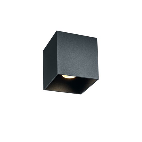 Wever & Ducré+BOX OUTDOOR 1.0 LED 8,1W 580lm 2700K CRI>90 21°, hämardatav phase-cut, IP65, välisvalgusti, antratsiithall