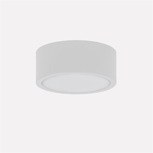 Nexia+Holp Down LED 21W 2379lm 2700/3000/4000K (lülitiga reguleeritav), hämardatav DALI, IP54, laevalgusti, valge