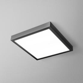 AQForm+BLOS LED 42,5W 3000K 3630lm DALI must IP44 450x450x50mm laevalgusti